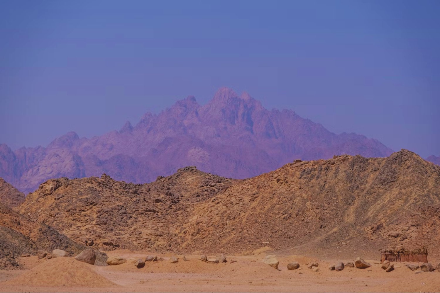 La ciudad olvidada bajo las dunas: el hallazgo que podría reescribir la historia del desierto Extracto: