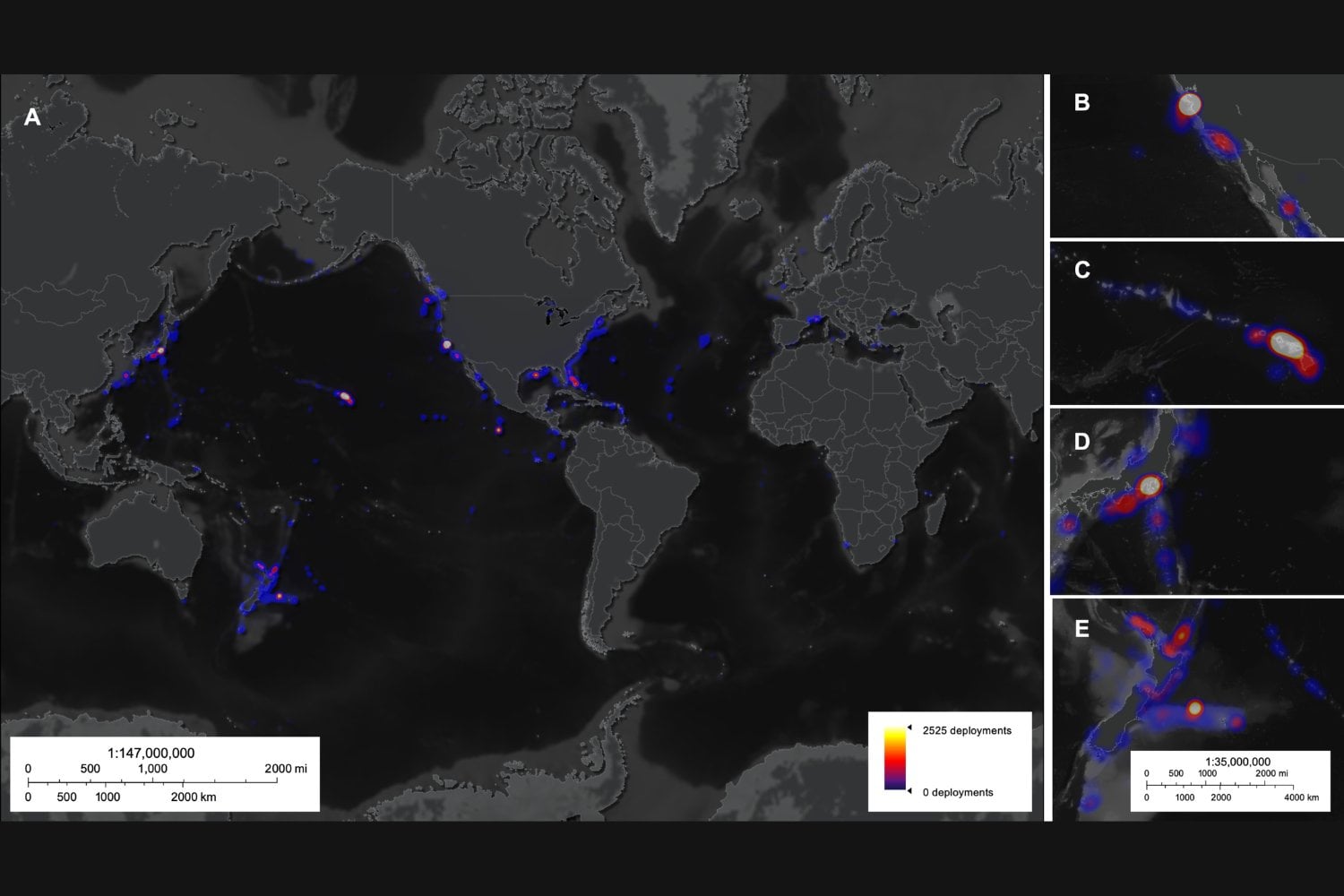 Una criatura de las profundidades domina el 59&nbsp;% del océano… y casi nadie sabía que existía