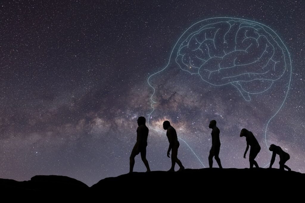 evolucion humana
