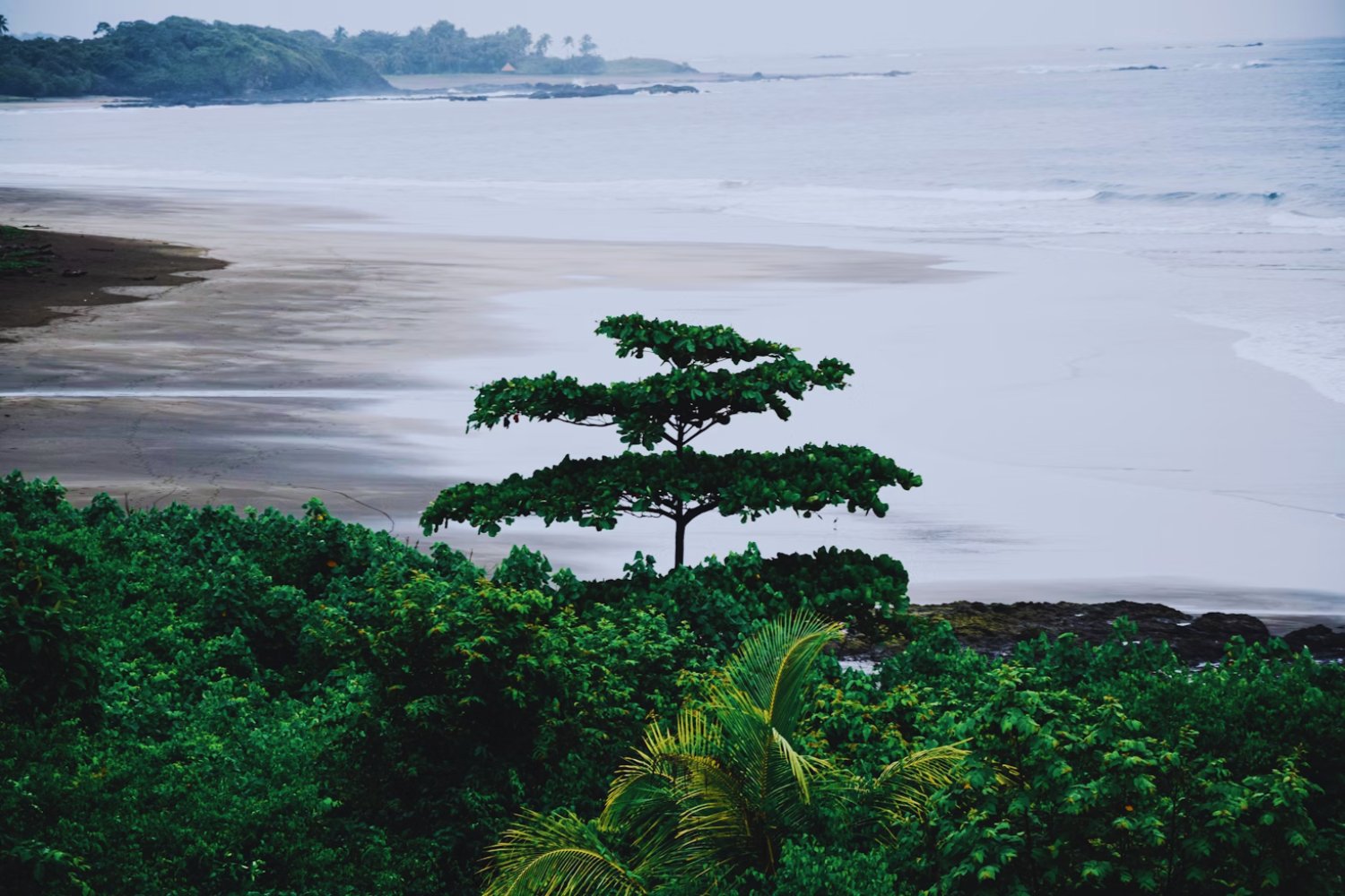 El país de Sudamérica que esconde una isla más grande que Inglaterra: biodiversidad, riqueza y olvido: Guayana.