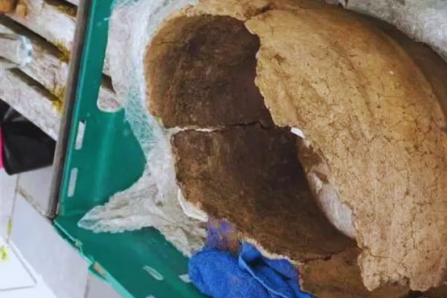 Creían haber hallado una herramienta agrícola, pero era un símbolo funerario de élite de 2.000 años de antigüedad