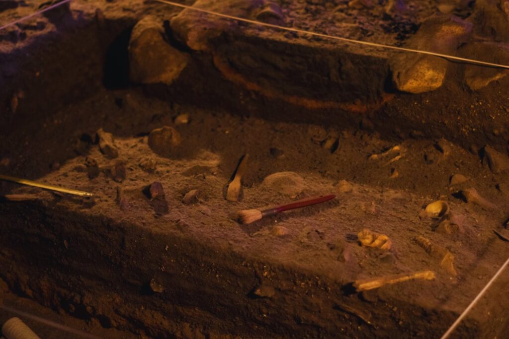 Creían haber hallado una herramienta agrícola, pero era un símbolo funerario de élite de 2.000 años de antigüedad