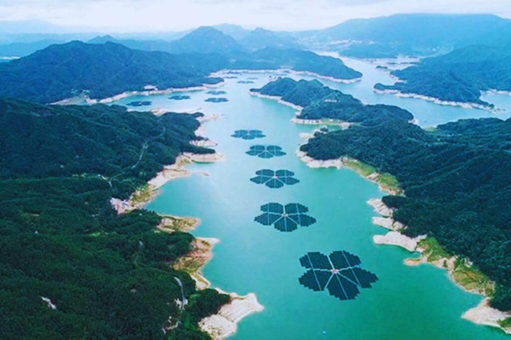 Flores sobre el agua: el misterioso proyecto solar de Corea del Sur que asombra al mundo