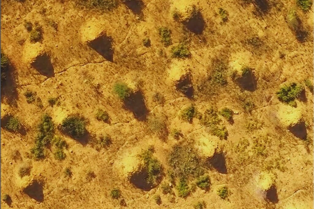 ¿Qué demonios es esto? Científicos descubren estructuras gigantes ocultas en el desierto de Brasil