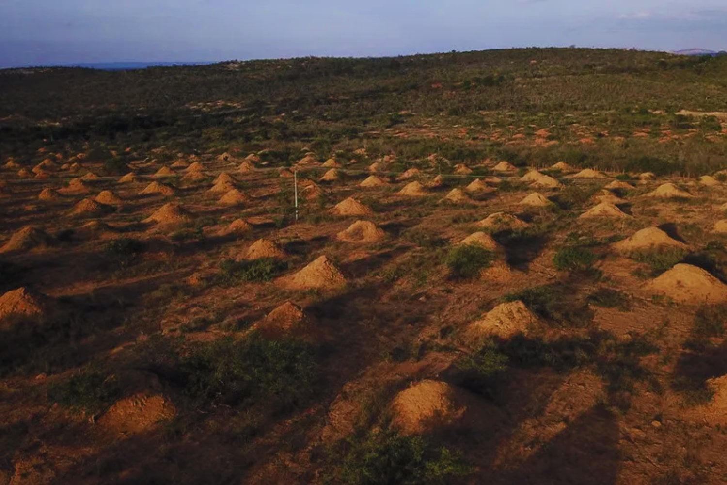 ¿Qué demonios es esto? Científicos descubren estructuras gigantes ocultas en el desierto de Brasil