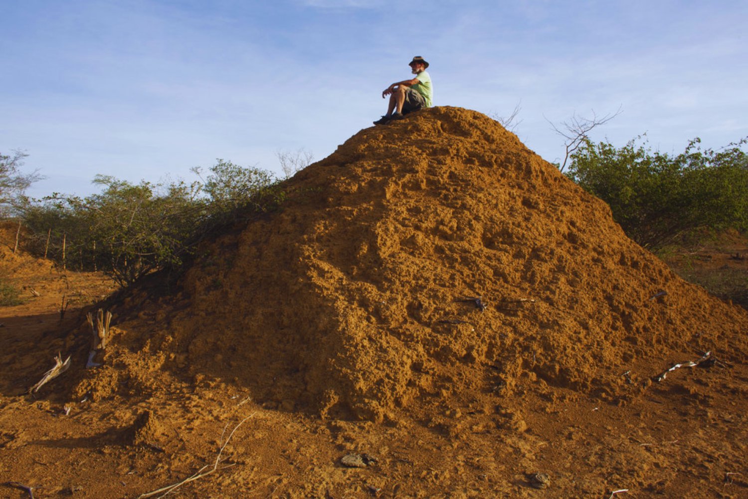 ¿Qué demonios es esto? Científicos descubren estructuras gigantes ocultas en el desierto de Brasil