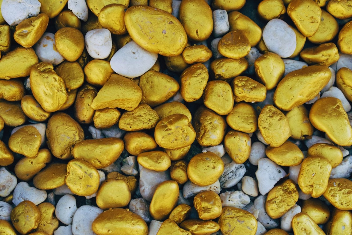 ¿El fin de la pobreza? El hongo que transforma metales en oro y podría cultivarse en casa