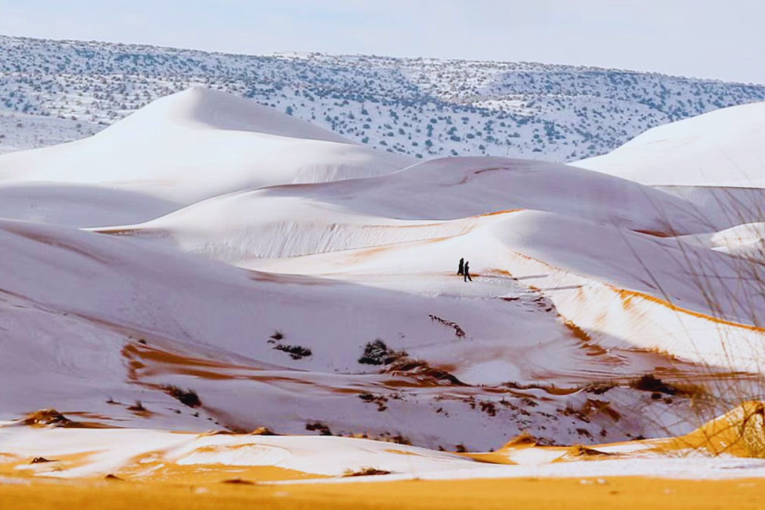 Nieva en el Sáhara... otra vez: el fenómeno que creías imposible y cada año sorprende al mundo