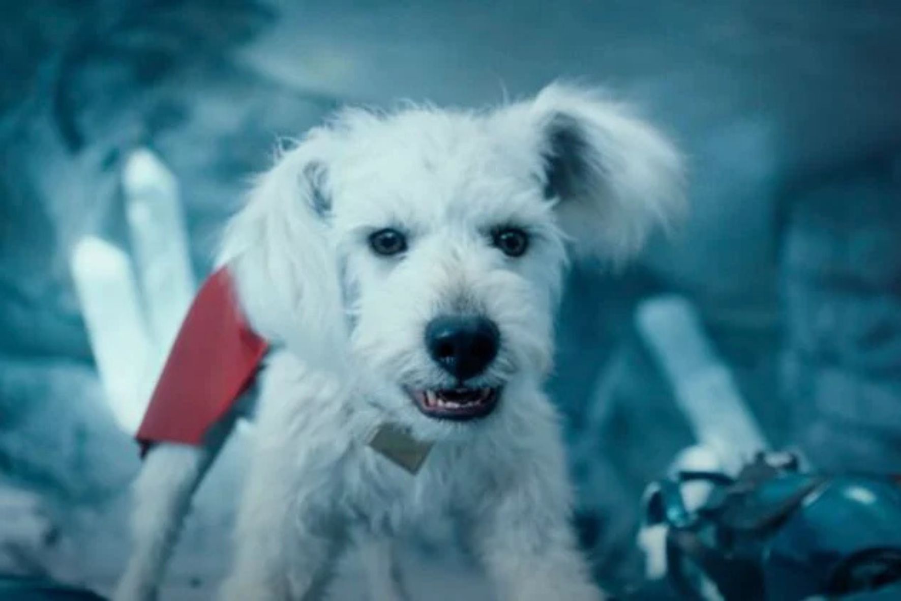 Diseño Sin Título (8)