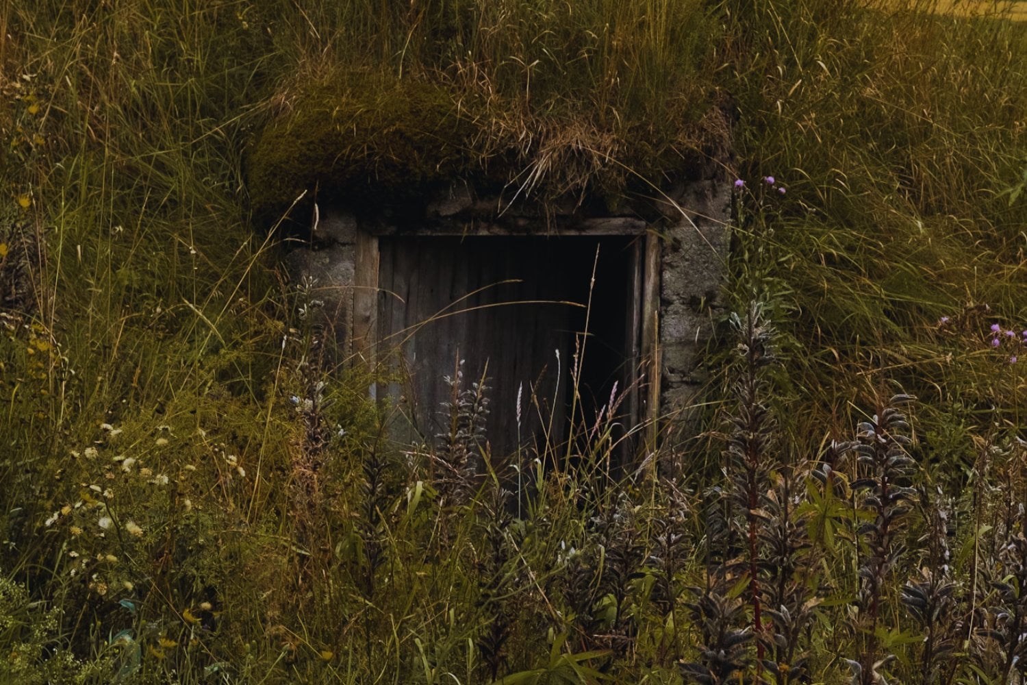 Una amenaza invisible sacude el norte de Europa: ciudades silenciosas se preparan para lo peor