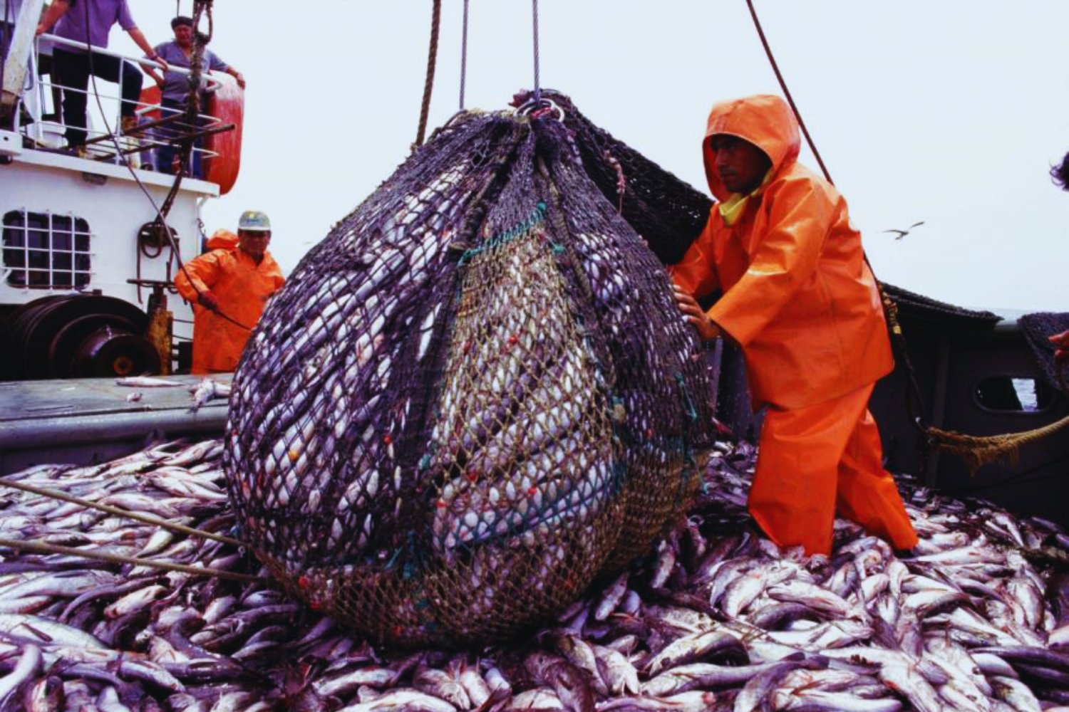 Ecuador se convierte en el tercer exportador de pescado más grande del mundo