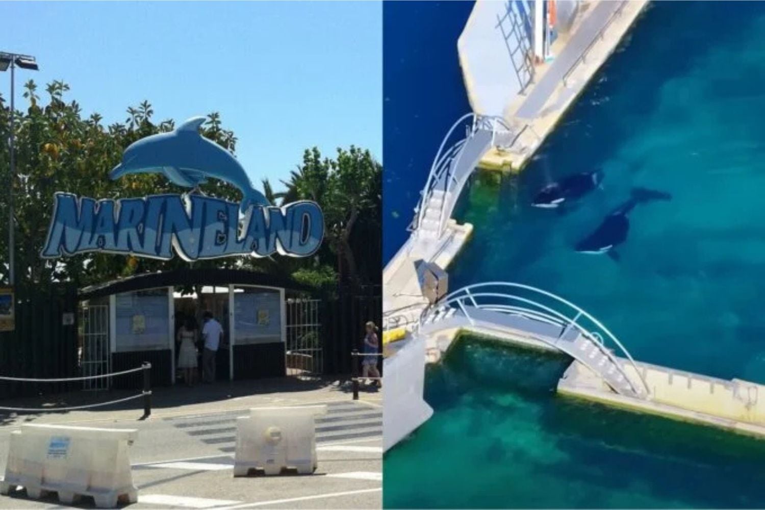 Diseño Sin Título (89)