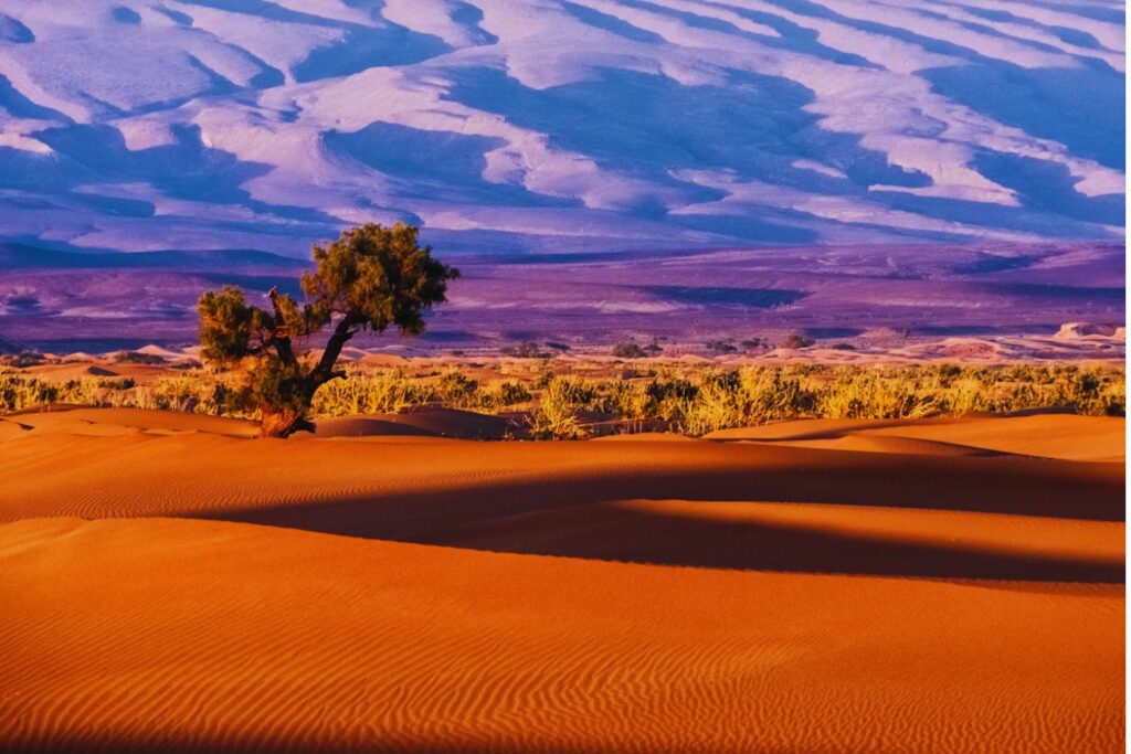 El misterio blanco en la cima del Sahara: una imagen de la NASA revela lo que nadie esperaba sobre un volcán extinto