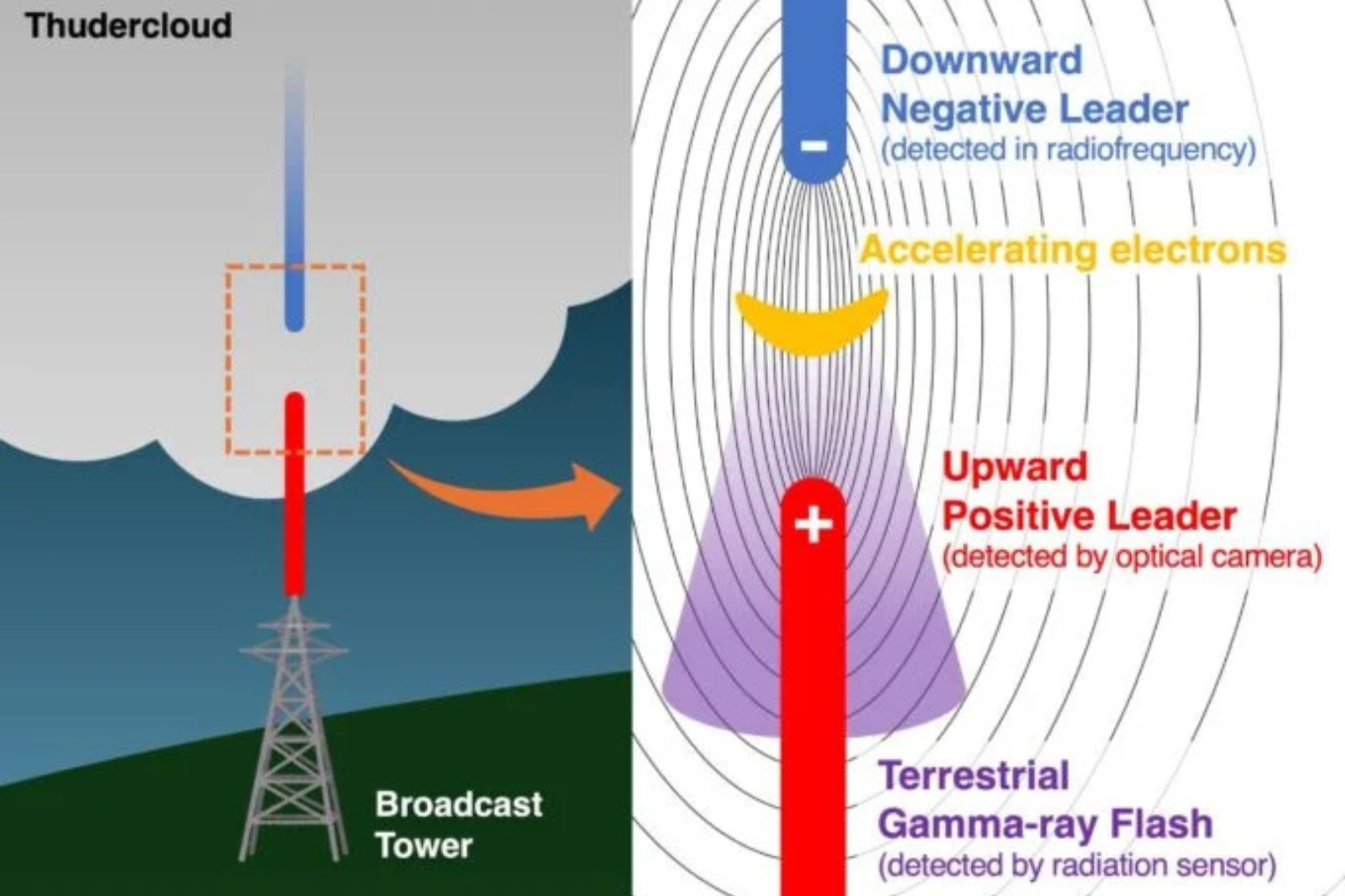 Diseño Sin Título (90)