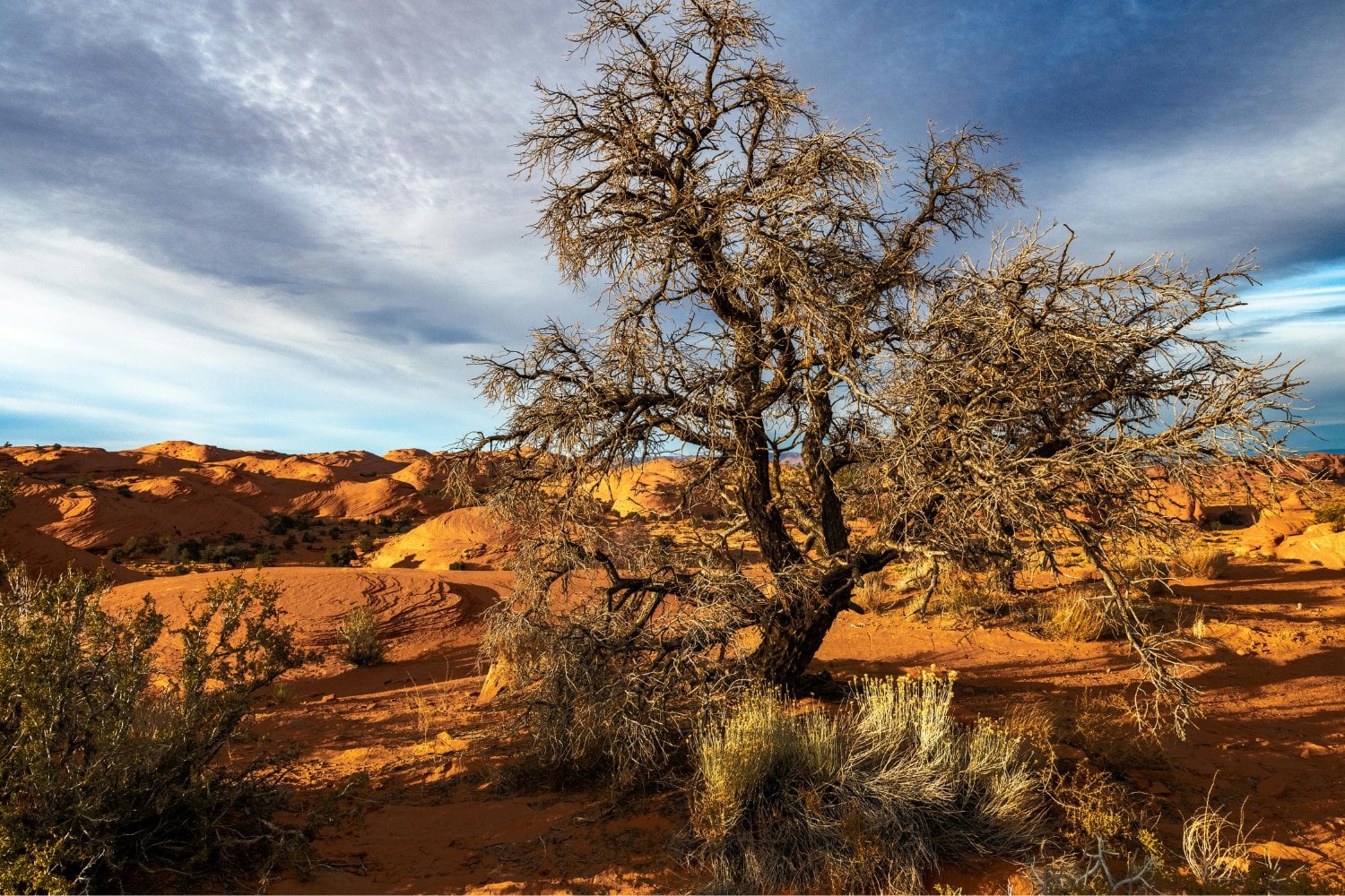 El secreto enterrado bajo el desierto: lo que revelan las cuevas sobre un pasado verde y fértil