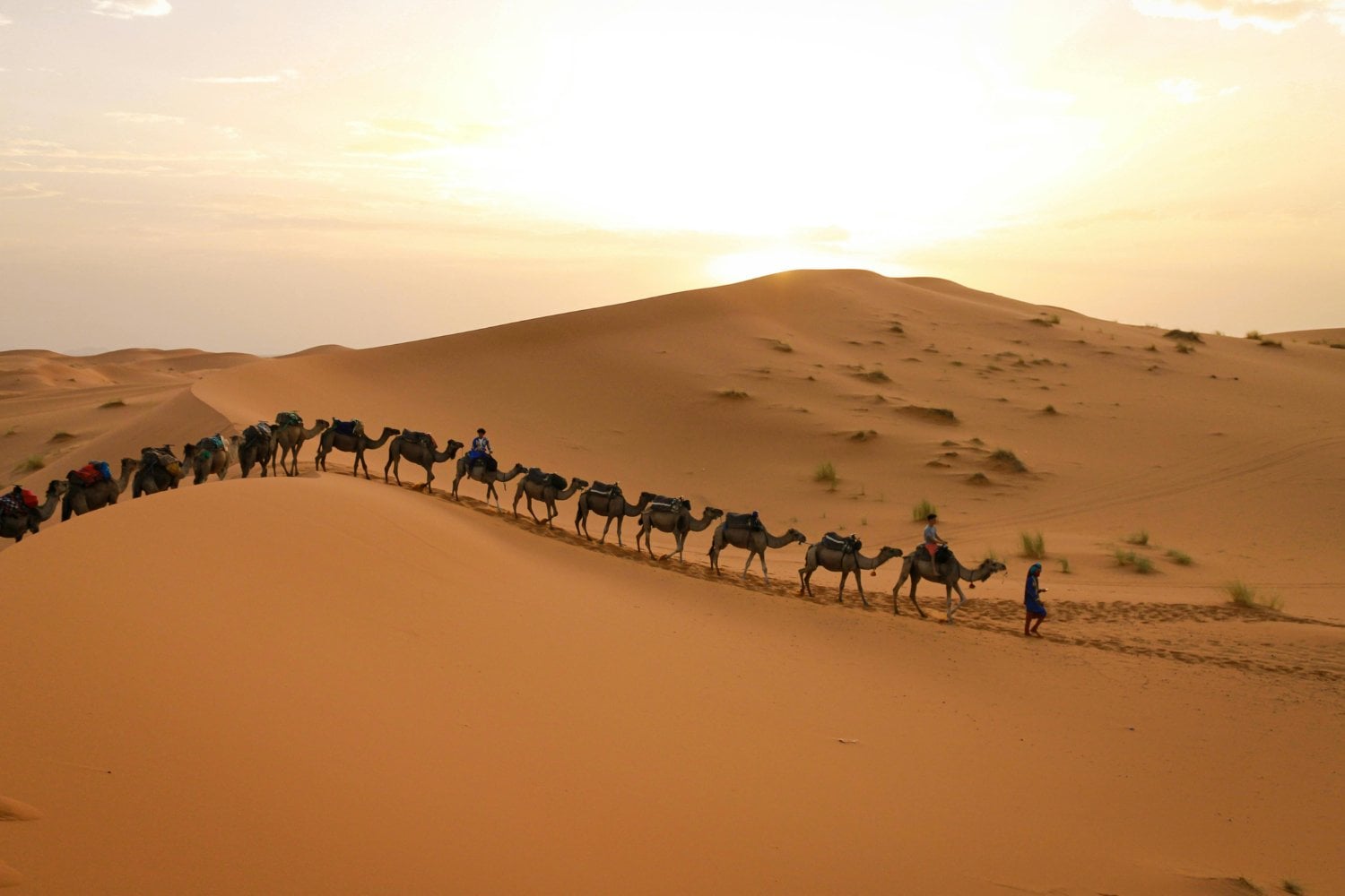 El secreto enterrado bajo el desierto: lo que revelan las cuevas sobre un pasado verde y fértil