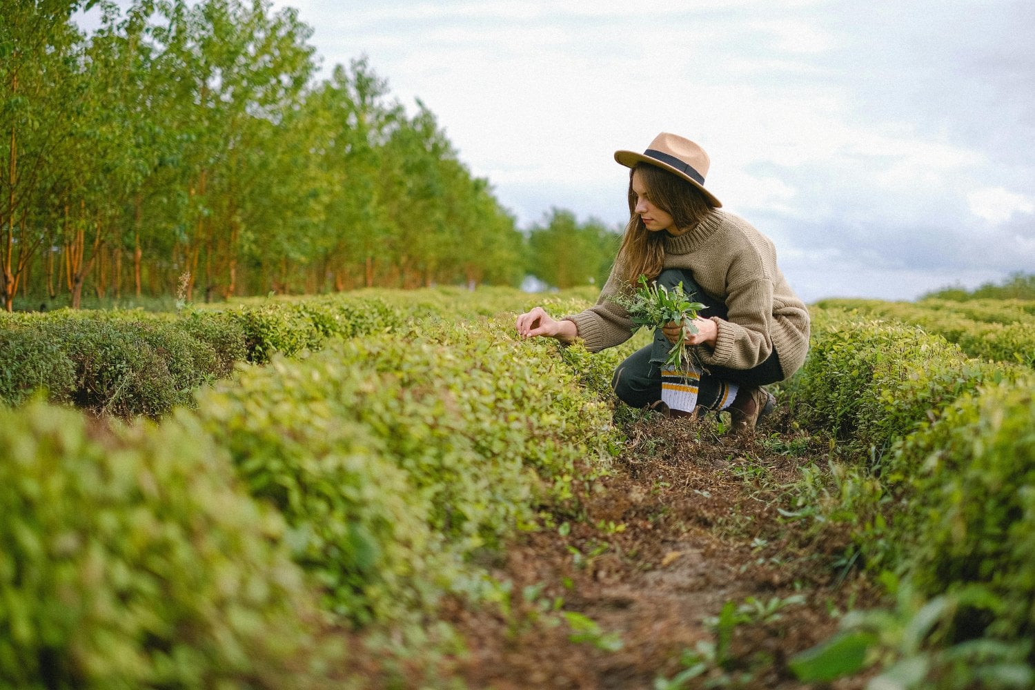 Ellas cultivan diferente: lo que la ciencia acaba de revelar sobre mujeres, campo y eficiencia