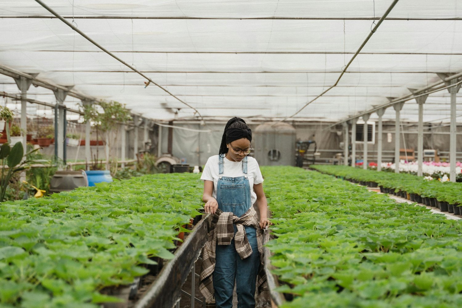 Ellas cultivan diferente: lo que la ciencia acaba de revelar sobre mujeres, campo y eficiencia