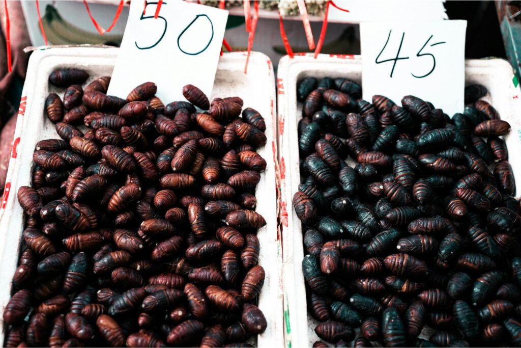 ¿Y si los insectos fueran la clave para alimentar al mundo?