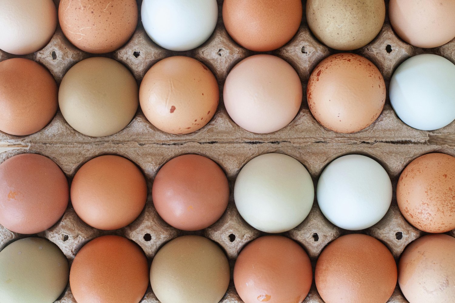 ¿Y si todo lo que creías sobre los huevos fuera un error?
