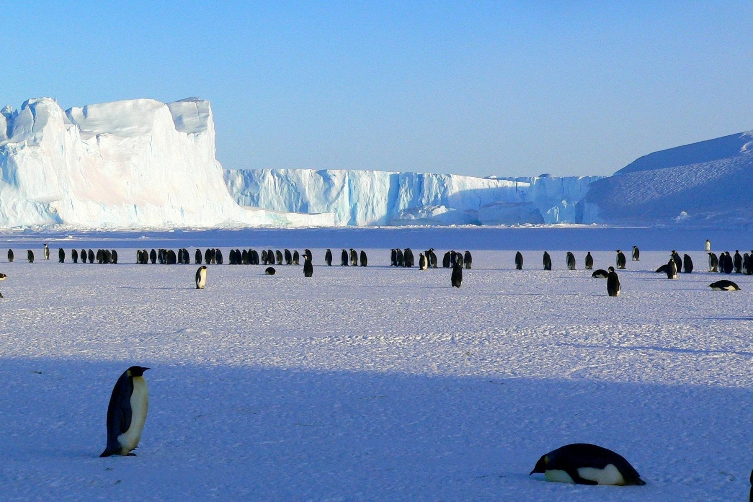 Un misterioso robo en el corazón de la Antártida: el fenómeno oculto que pone en jaque al equilibrio del hielo