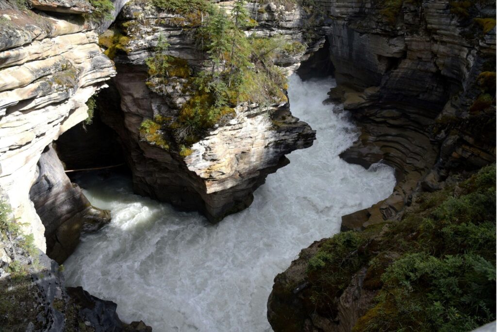 ¿Y si proteger los ríos fuera cuestión de supervivencia?