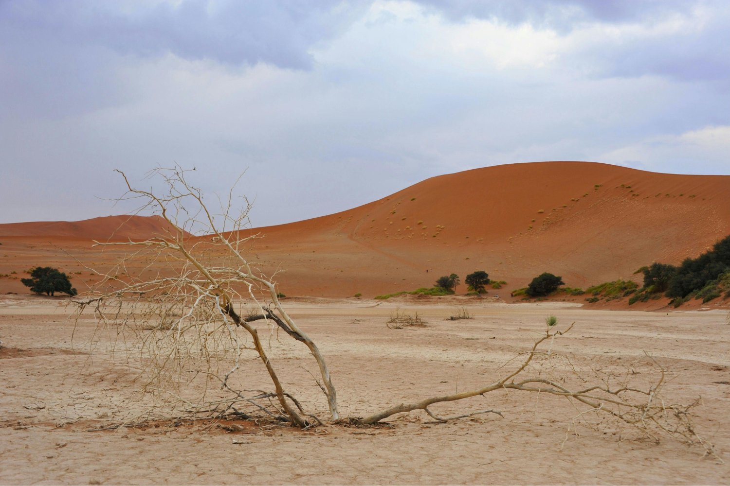 El secreto enterrado bajo el desierto: lo que revelan las cuevas sobre un pasado verde y fértil