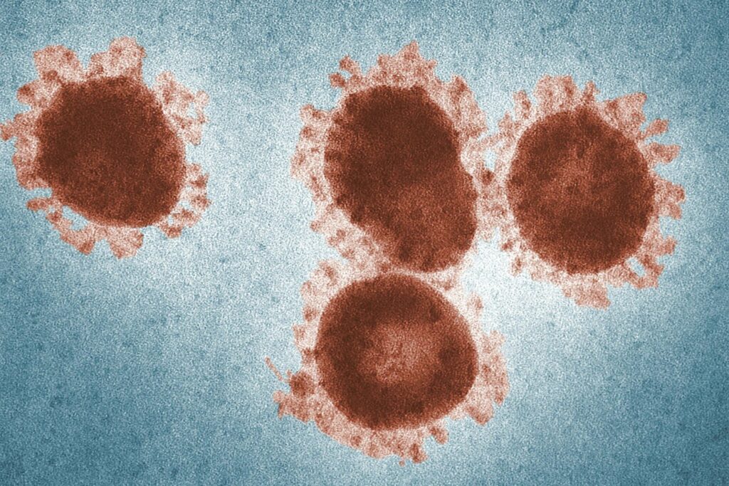 Un hallazgo inquietante en hospitales pone en jaque a la ciencia médica