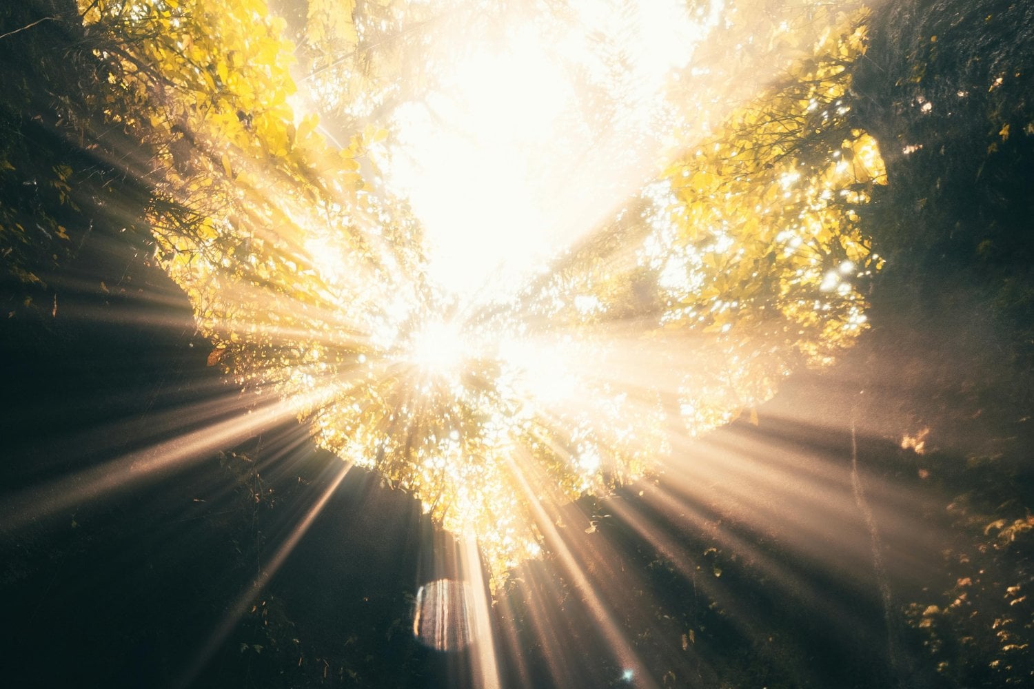 Algo se está calentando en el océano… y Europa podría pagar el precio