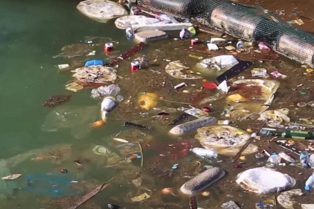 Apareció del mar y no deja de expandirse: ¿qué es esta masa colosal?