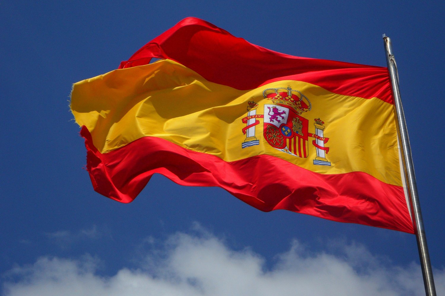 La criatura vegetal que nadie había visto en 40 años vuelve a sorprender en un rincón oculto de España