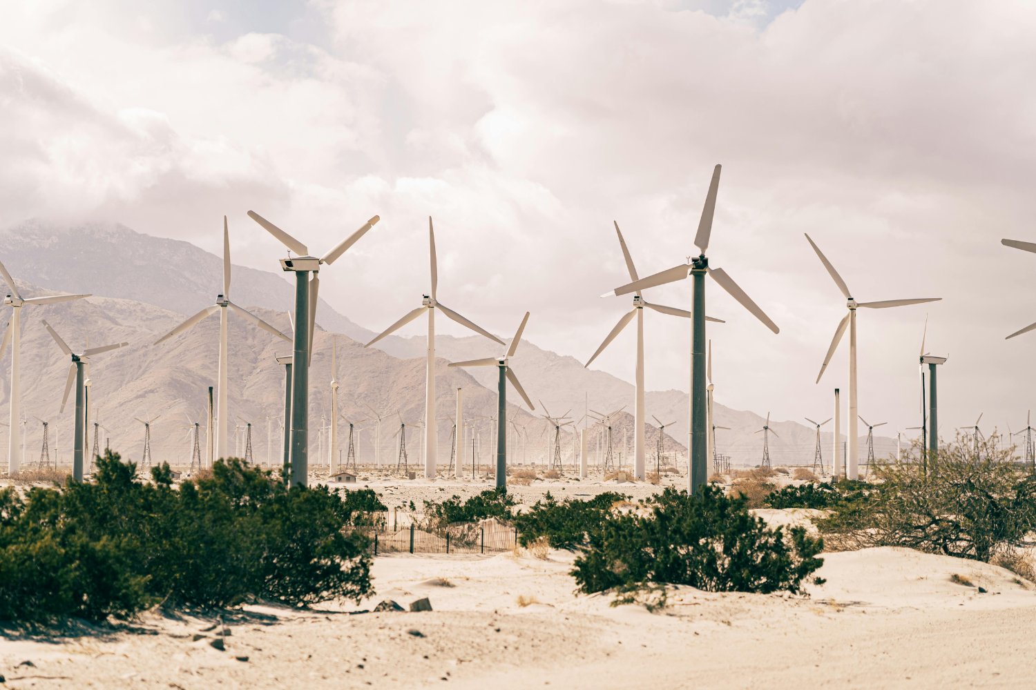 Cuando el viento se vuelve un conflicto: el fenómeno oculto que amenaza el futuro de la energía limpia