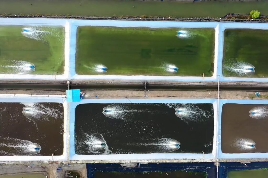 Así se reinventa la acuicultura en España: tecnología invisible, tradición viva y peces más felices