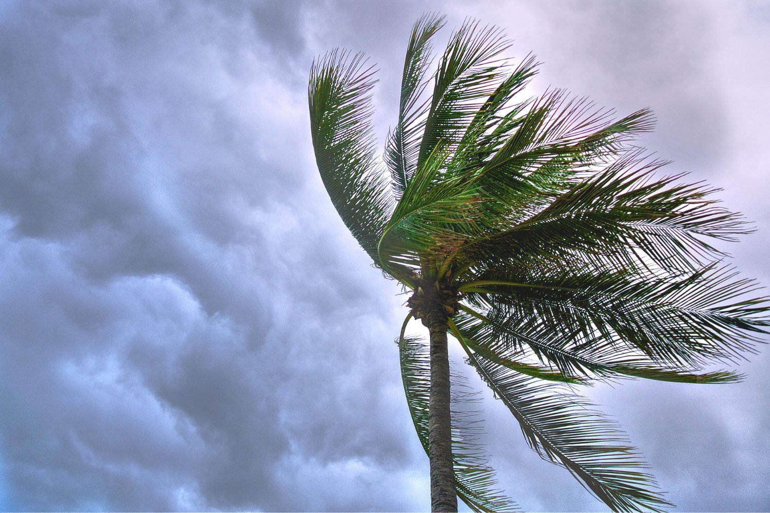 Lo que ocultan las tormentas: por qué el cielo se ilumina, truena y lanza granizo gigante