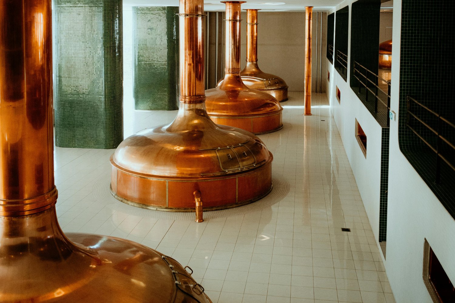 Un nuevo secreto en la cerveza: el proceso invisible que podría transformar su producción para siempre