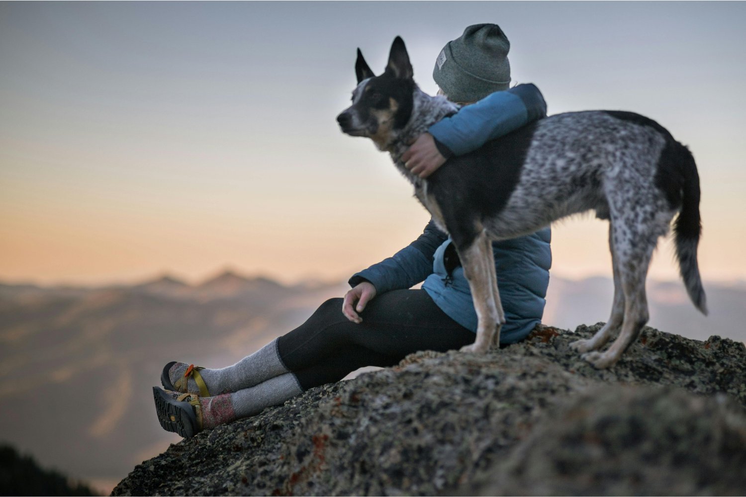 El último abrazo: lo que nunca deberías dejar de hacer por tu mascota