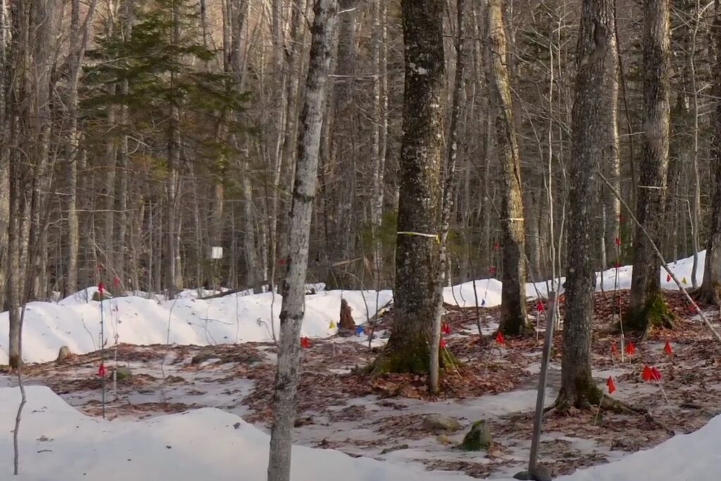 Este rincón del planeta ha estado bajo observación científica... y nadie lo nota