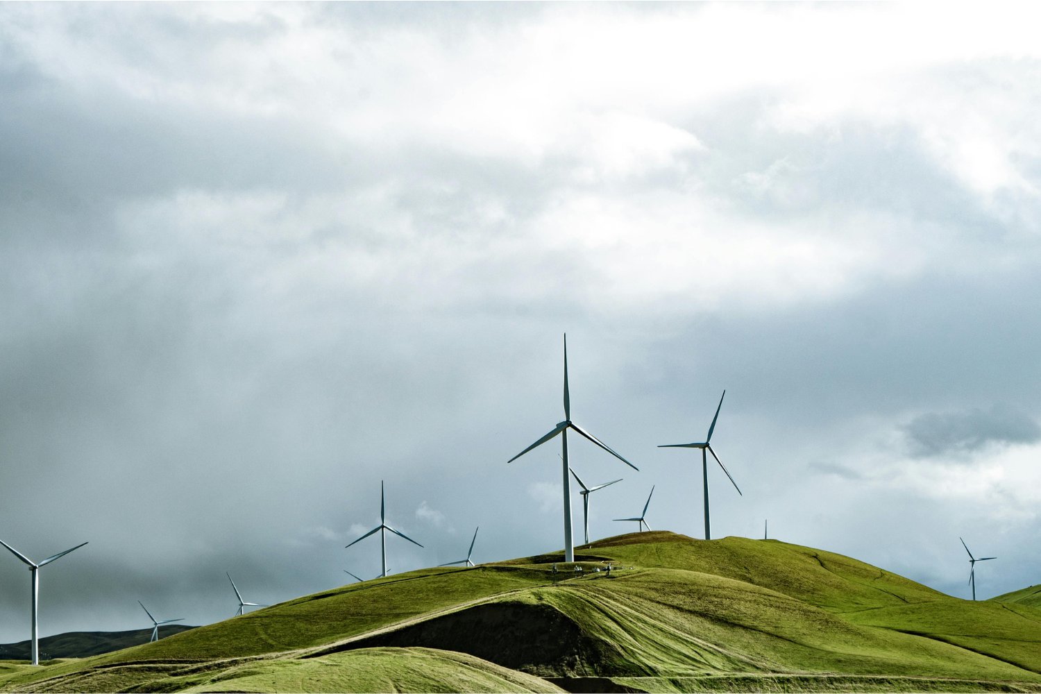 Cuando el viento se vuelve un conflicto: el fenómeno oculto que amenaza el futuro de la energía limpia