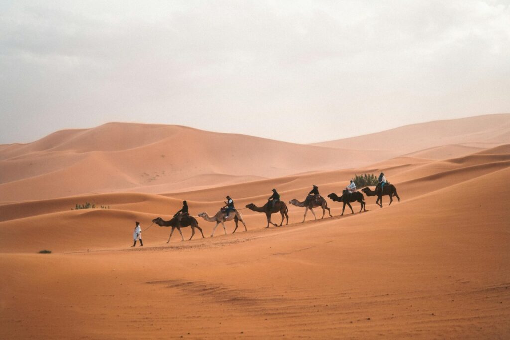 ¿Y si el Sahara fue alguna vez un paraíso acuático?