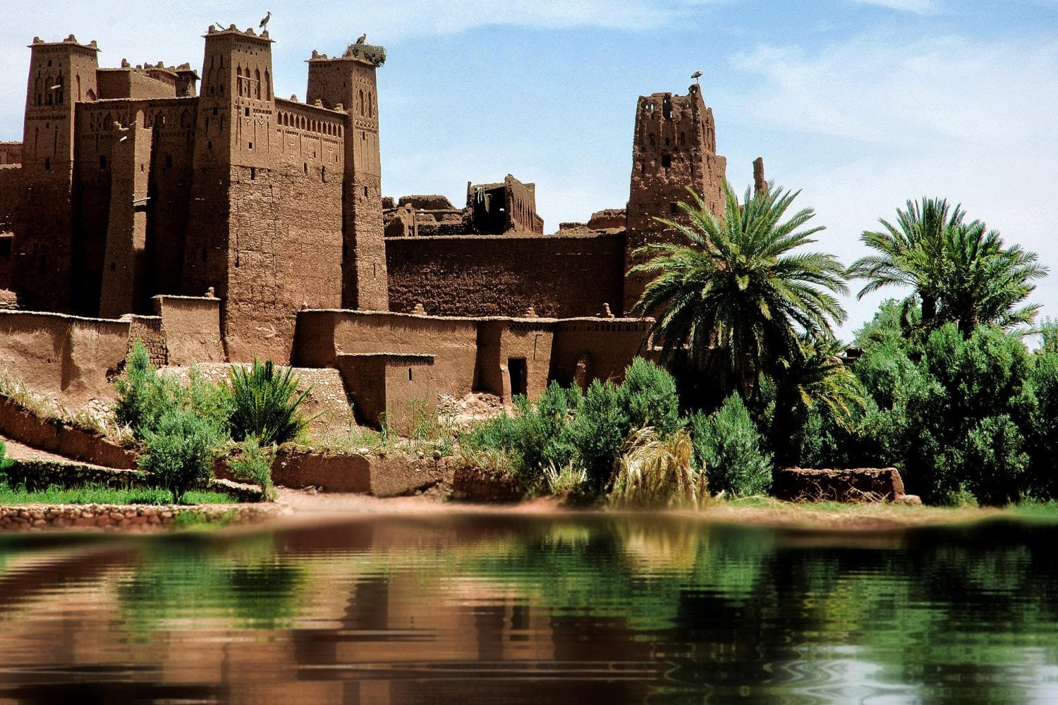 ¿Y si el Sahara fue alguna vez un paraíso acuático?