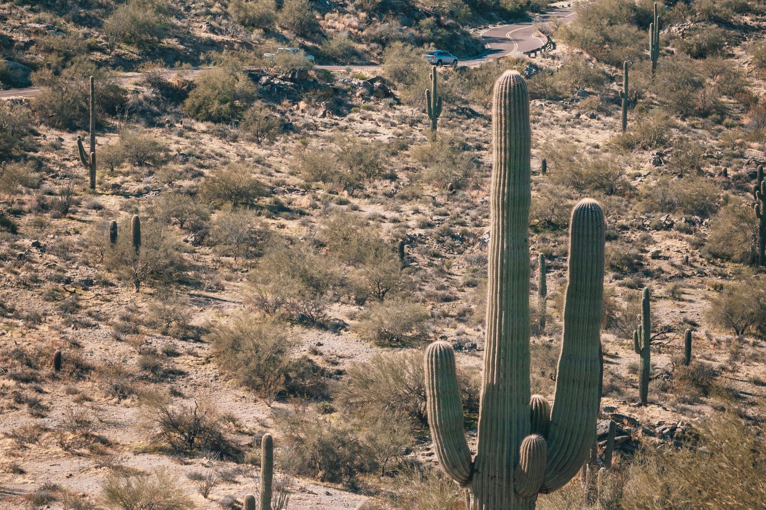 ¿Y si el futuro fuera más seco de lo que imaginamos?