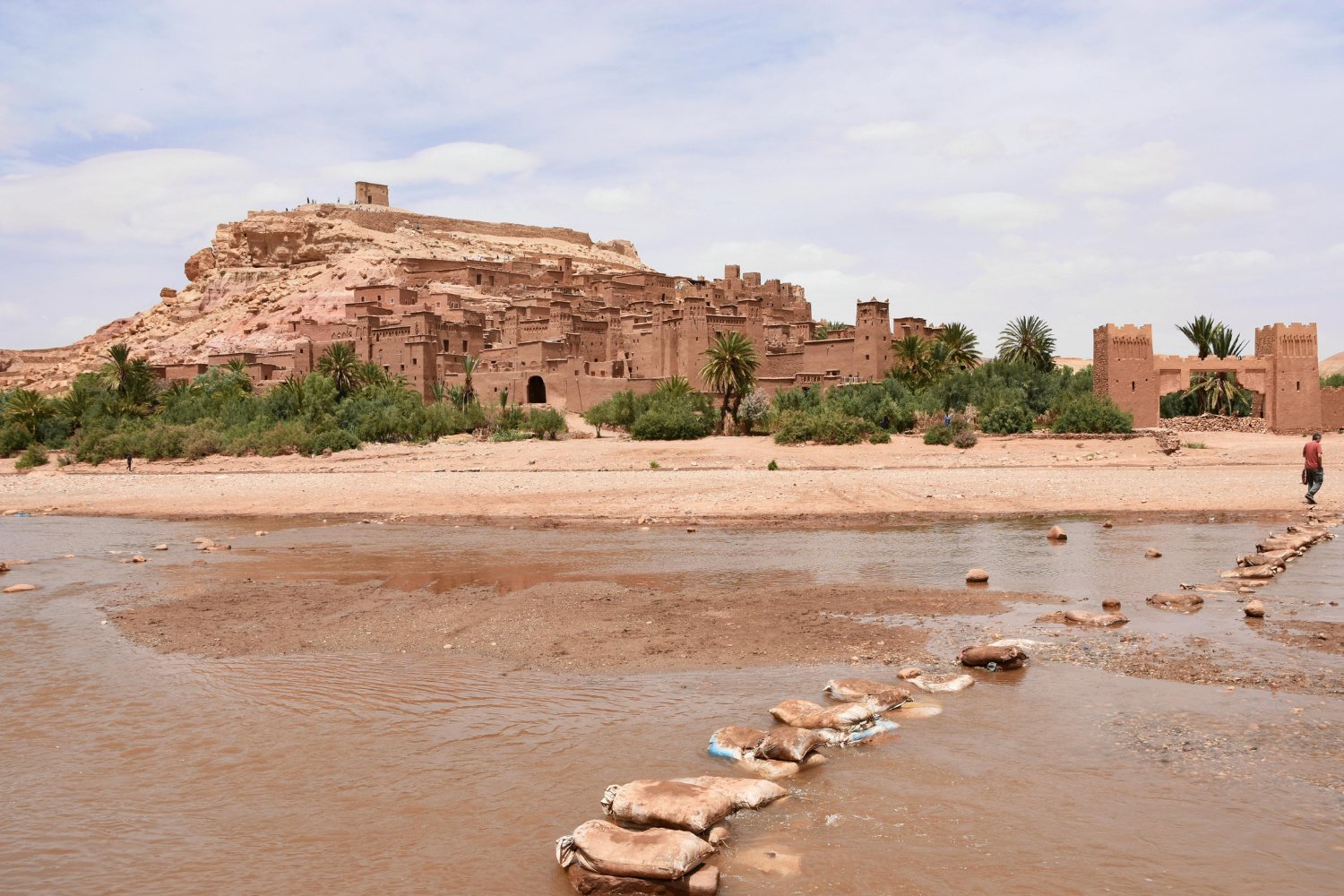 ¿Y si el Sahara fue alguna vez un paraíso acuático?