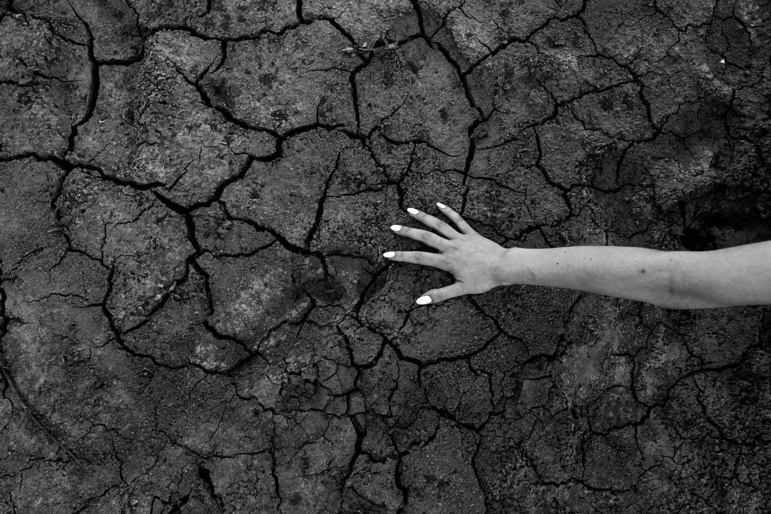 La protesta que cambió el mundo: el inesperado origen del Día de la Tierra