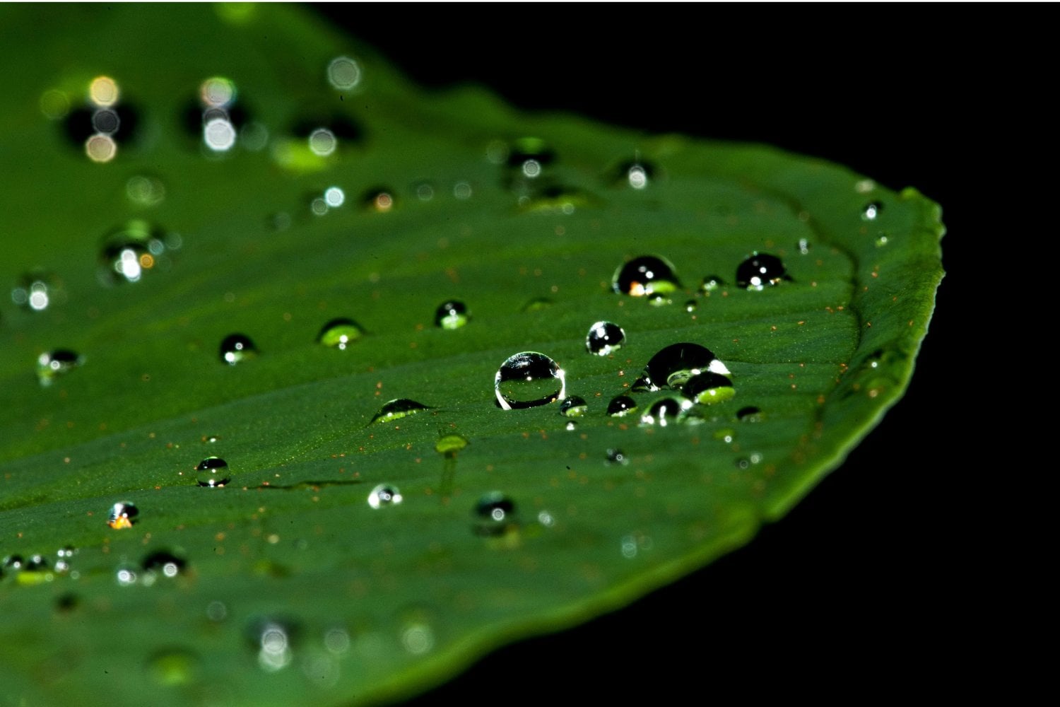 La luz hace lo impensado: el sorprendente hallazgo que podría cambiar el agua para siempre
