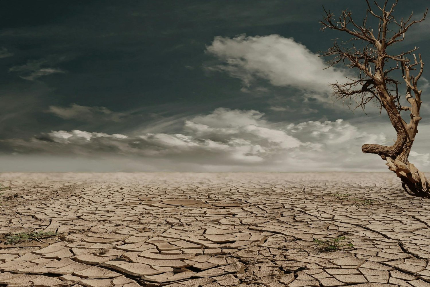 Lo que podría ocurrir en los próximos cinco años si el clima no da tregua