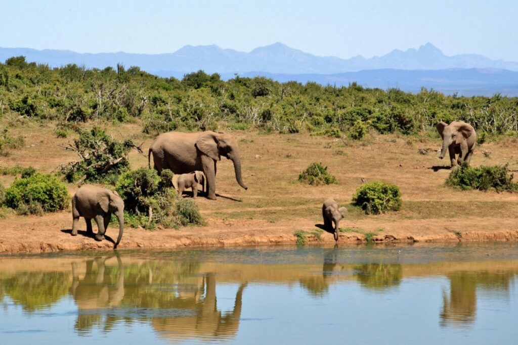 África se está rompiendo… ¿pero qué se esconde realmente bajo sus grietas?