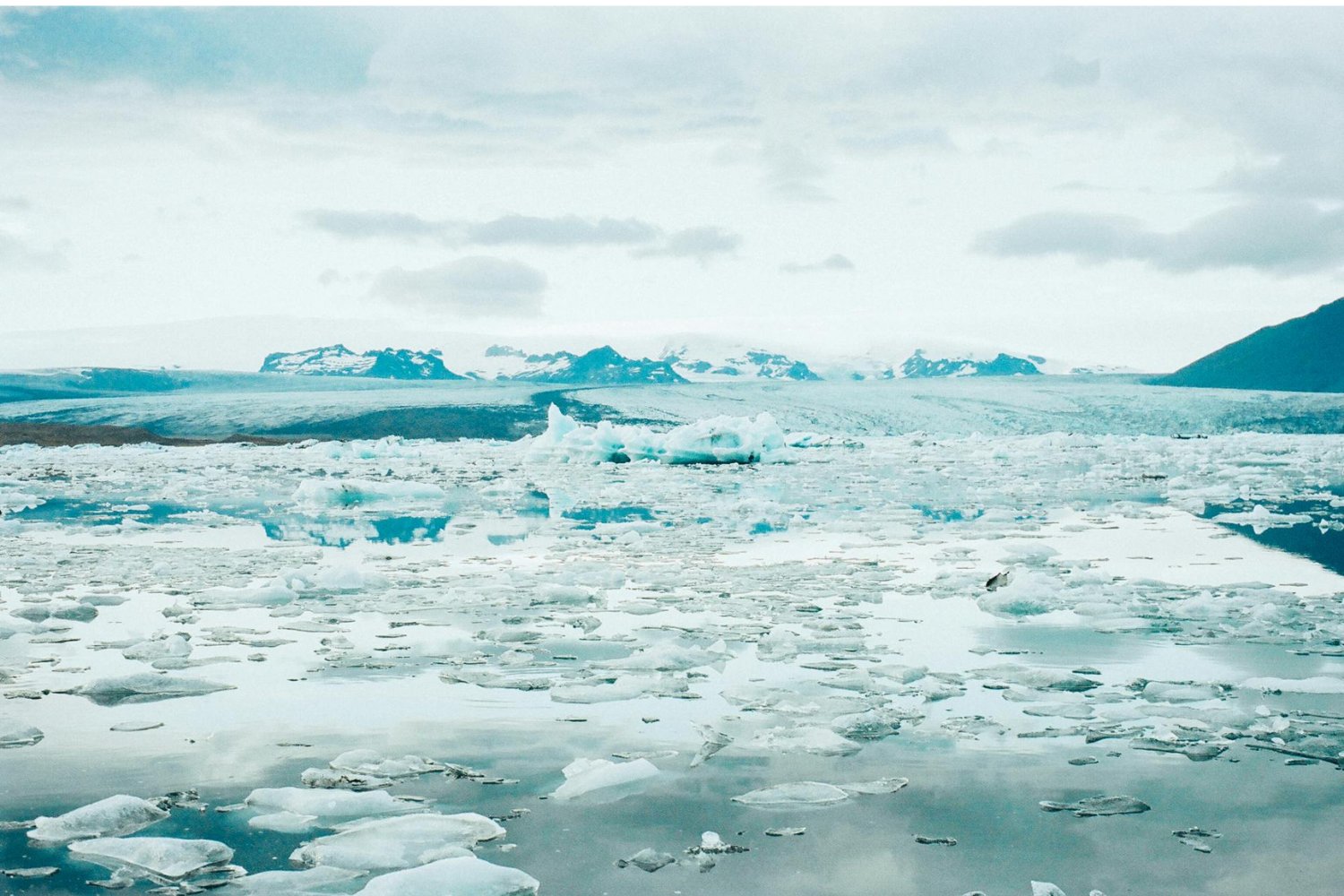 Un gigante del hielo quedó atrapado: lo que está ocurriendo podría cambiar más que el paisaje