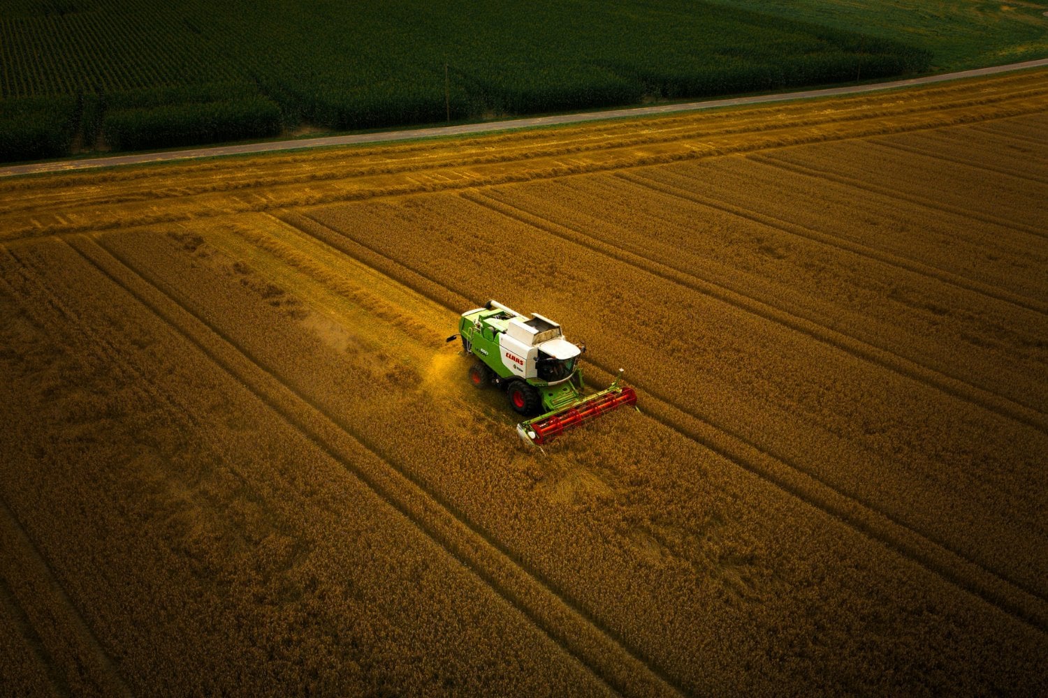 Cultivo En Argentina Y Chile