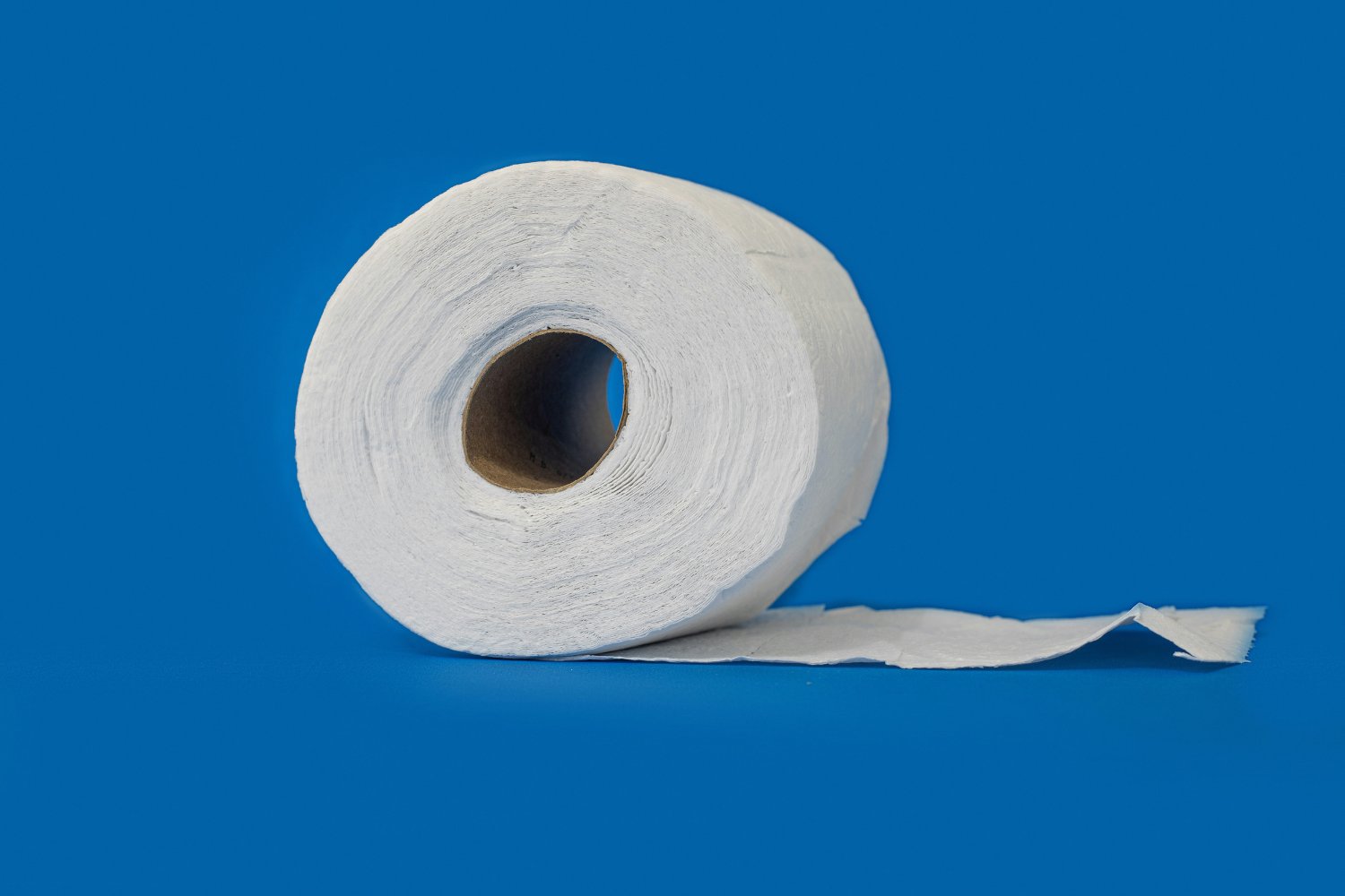 El Debate Eterno Sobre El Papel Higienico