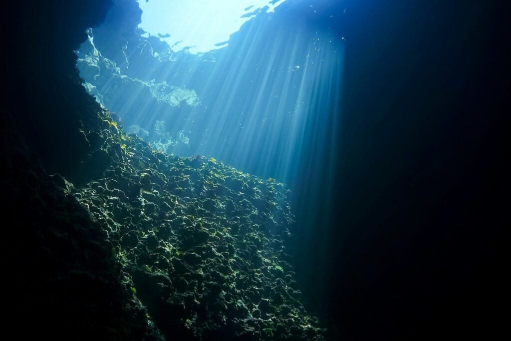 Filman Al Calamar Colosal Por Primera Vez
